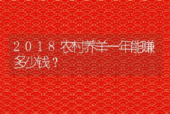 2018农村养羊一年能赚多少钱？