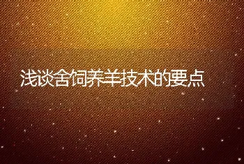 浅谈舍饲养羊技术的要点