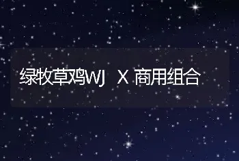 绿牧草鸡WJX商用组合