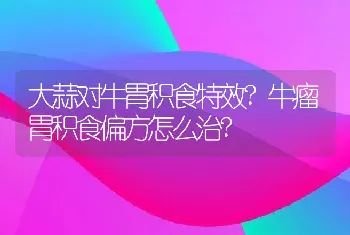 大蒜对牛胃积食特效?牛瘤胃积食偏方怎么治?