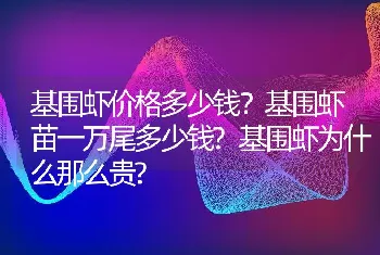 基围虾价格多少钱？基围虾苗一万尾多少钱?基围虾为什么那么贵?