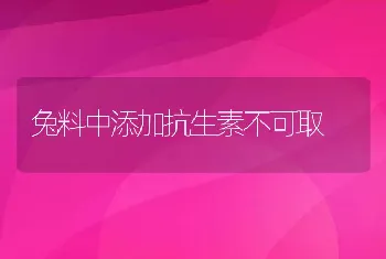 兔料中添加抗生素不可取