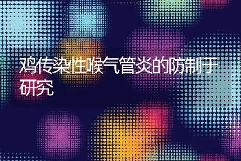 鸡传染性喉气管炎的防制于研究