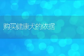 购买健康犬的依据