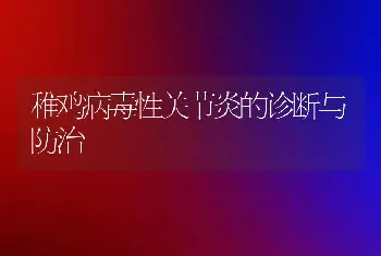 稚鸡病毒性关节炎的诊断与防治