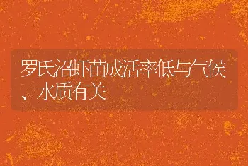 罗氏沼虾苗成活率低与气候、水质有关