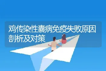 鸡传染性囊病免疫失败原因剖析及对策