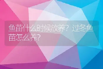 鱼苗什么时候放养？过冬鱼苗怎么养？