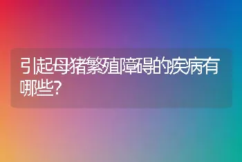 引起母猪繁殖障碍的疾病有哪些？