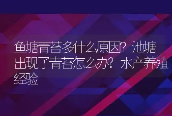 鱼塘青苔多什么原因？池塘出现了青苔怎么办?水产养殖经验