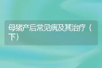 母猪产后常见病及其治疗（下）