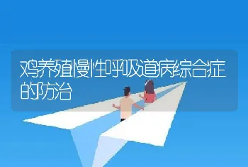 鸡养殖慢性呼吸道病综合症的防治