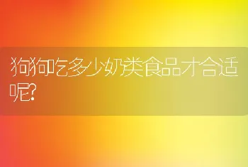 狗狗吃多少奶类食品才合适呢?