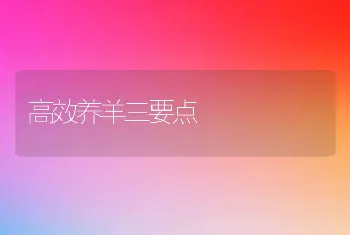 高效养羊三要点