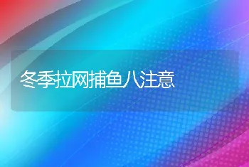 冬季拉网捕鱼八注意