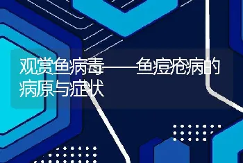 观赏鱼病毒——鱼痘疮病的病原与症状