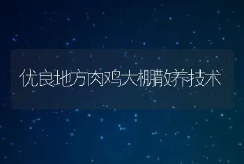 优良地方肉鸡大棚散养技术