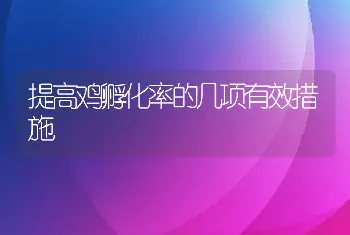 提高鸡孵化率的几项有效措施