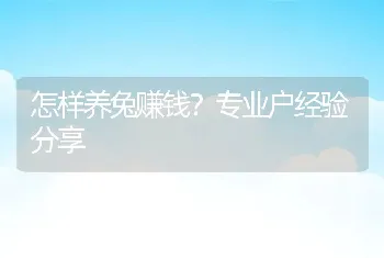 怎样养兔赚钱？专业户经验分享