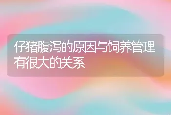 仔猪腹泻的原因与饲养管理有很大的关系