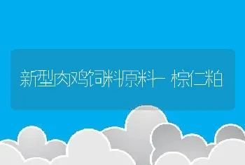 新型肉鸡饲料原料-棕仁粕