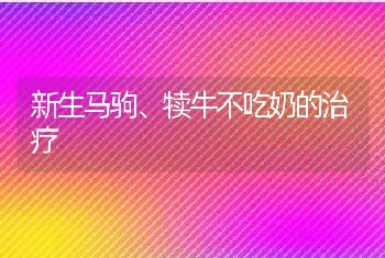 新生马驹、犊牛不吃奶的治疗