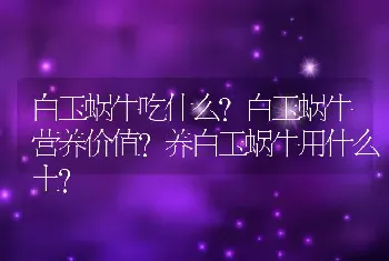 白玉蜗牛吃什么？白玉蜗牛营养价值？养白玉蜗牛用什么土？