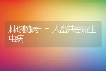 棘球蚴病--人畜共患寄生虫病