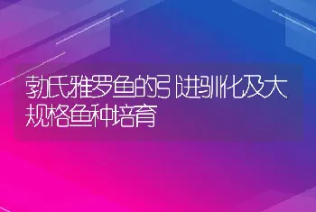 勃氏雅罗鱼的引进驯化及大规格鱼种培育