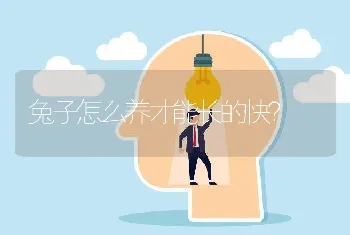 兔子怎么养才能长的快？