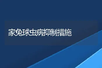 家兔球虫病抑制措施