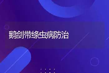 鹅剑带绦虫病防治