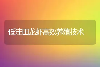 低洼田龙虾高效养殖技术