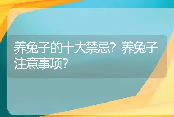 养兔子的十大禁忌？养兔子注意事项？