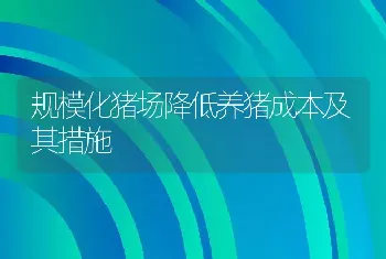 规模化猪场降低养猪成本及其措施