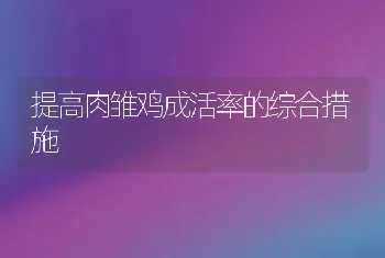 提高肉雏鸡成活率的综合措施