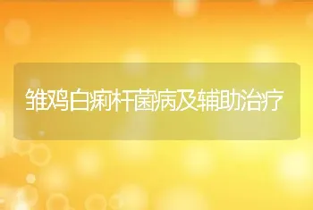 雏鸡白痢杆菌病及辅助治疗