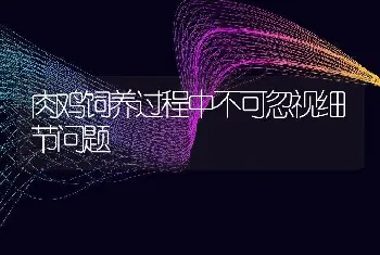 肉鸡饲养过程中不可忽视细节问题