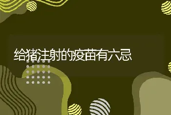 给猪注射的疫苗有六忌