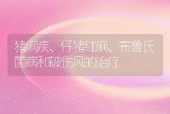 猪痢疾、仔猪红痢、布鲁氏菌病和破伤风的治疗