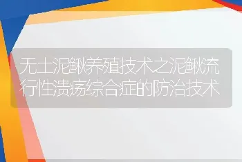 无土泥鳅养殖技术之泥鳅流行性溃疡综合症的防治技术