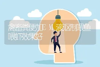 禽畜粪便加EM液沤制喂鱼喂虾效果好