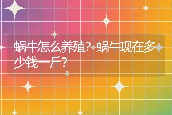 蜗牛怎么养殖？蜗牛现在多少钱一斤？