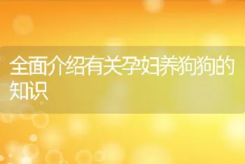 全面介绍有关孕妇养狗狗的知识