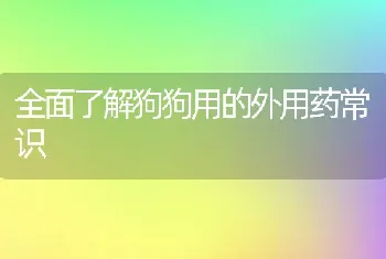 全面了解狗狗用的外用药常识