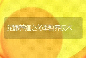 泥鳅养殖之冬季暂养技术