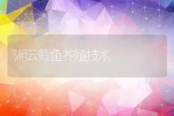 湘云鲫鱼养殖技术