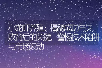 小龙虾养殖：揭秘成功与失败背后的关键，警惕技术陷阱与市场波动