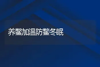 养鳖加温防鳖冬眠