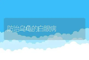 防治乌龟的白眼病